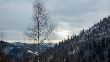 Dağlarda kış. Karpatlar karla kaplı.