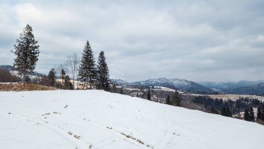Kışın karla kaplı ağaçlar