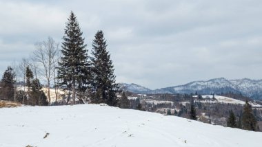 Kar - Ukrayna Karpatları ile kaplı dağlar. Dağlı kış manzarası. yüksek kaliteli fotoğraf