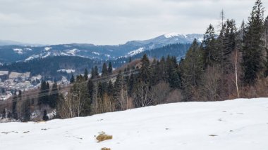 Karpat Dağları'nın güzel kış manzarası