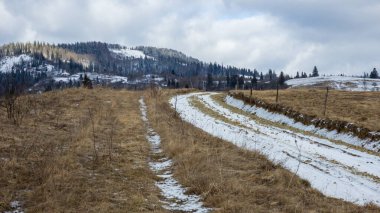 Karpat dağlarının güzel manzarası, Ukrayna.