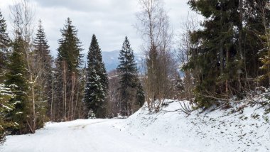 Karla kaplı ağaçlarla kaplı güzel bir kış manzarası. kış mevsimi.