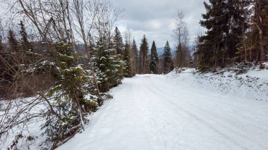 Karla kaplı ormanda yol