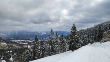 Romanya 'daki Karpatlar' ın karlı manzarasının güzel bir manzarası.
