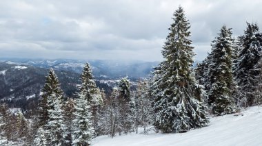 Kar ve dağlarla kaplı kış manzarası