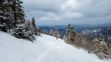 Karla kaplı ağaçlarla kaplı güzel kış manzarası