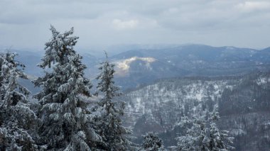 Karpatlar, Ukrayna içinde kış dağ manzarası