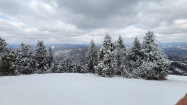 Karla kaplı ağaçlarla kaplı güzel kış manzarası