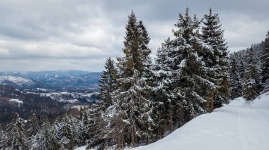 Karpatya dağlarında karlı dağlar