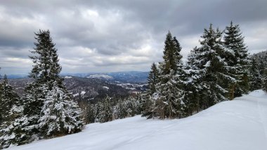 Ukraynalı Karpatlar 'da kar altında kış. Kar - tepeli ağaçlar, dağlardaki yamaçlar.