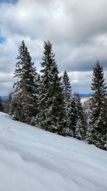 Karlı kış manzarası
