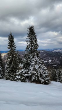 Arkadaki dağlarda kar olan güzel bir kış manzarası.