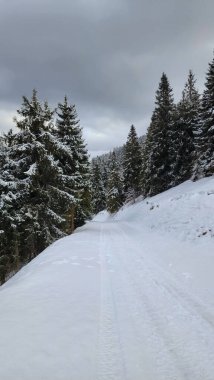 Kış Çek Cumhuriyeti