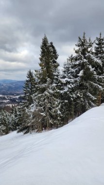 Karpat Dağlarının güzel manzarası