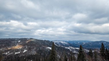 Ukraynalı Karpatların kış ormanı. Dağlarda karla kaplı ağaçlar....