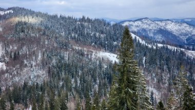 Karpatlar kış manzarası