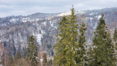 Dağlarda kış, kar ve ormanda
