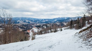 karlı ağaçlar ve dağlar kış manzarası.