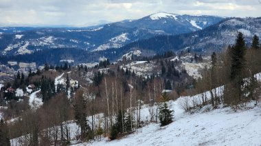 Karla kaplı ağaçlarla kaplı kış manzarası