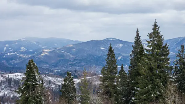 Karla kaplı dağlarda ilkbaharda Karpatlar.