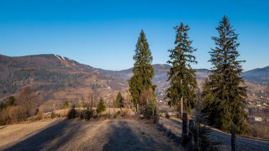 Arkasında ağaçlar olan bir dağ manzarası.