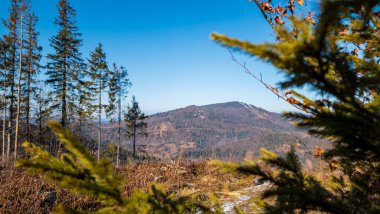 güzel dağ manzarası ile orman