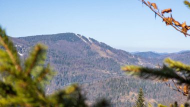 Dağlarda sonbahar ormanı