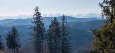 Dağlardaki güzel kış manzarası