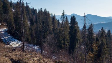 Ukrayna Karpatlarının kış manzarası