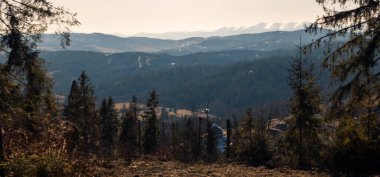 Ukrayna 'daki Karpat Dağları, Yaz.