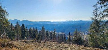 Dağlardaki güzel dağ ormanları