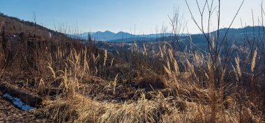 Doğanın güzel manzarası