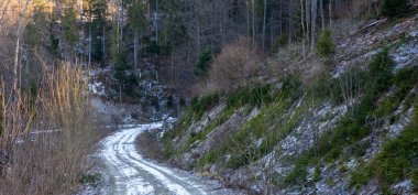 kar ve ağaçlar olan kış yol
