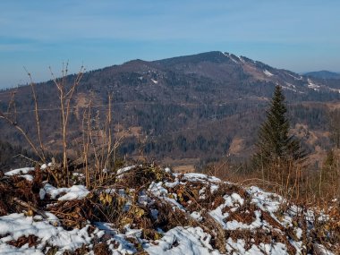 Ormandaki dağların güzel manzarası