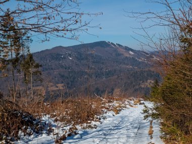 Kış dağı manzarası. karla kaplı orman
