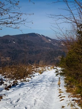 Karla kaplı ağaçlarla kaplı güzel kış manzarası