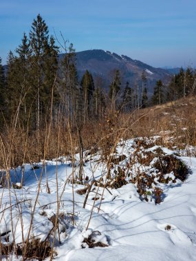 Vitosha Dağı 'nın kış manzarası, Sofya Şehir Bölgesi, Bulgaristan