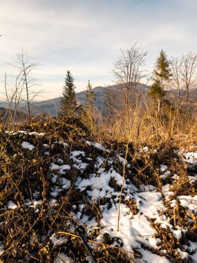 Karla kaplı ağaçlarla kaplı güzel kış manzarası