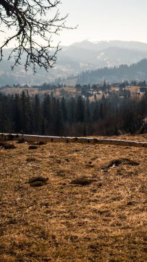 Sonbaharda sabah karpatların güzel manzarası.