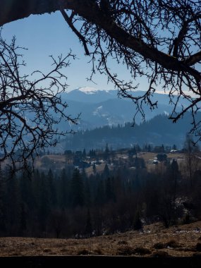 Dağın tepesinden bir ağaç ile dikey çekim.