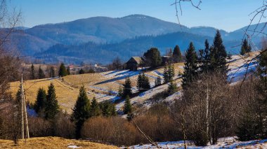 Ağaçlar ve dağlarla dolu güzel bir manzara.