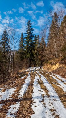 beautiful landscape with snow and trees in the mountains