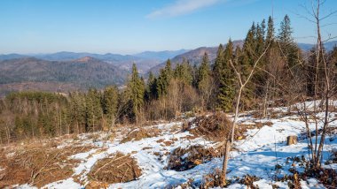 Dağ kış manzarası. kış ormanı.