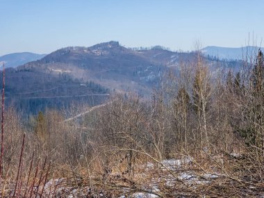 Dağları ve ormanı olan güzel bir manzara.
