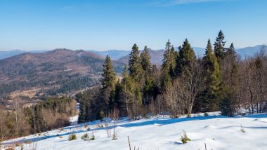 Karpatlar'ın dağ manzarası