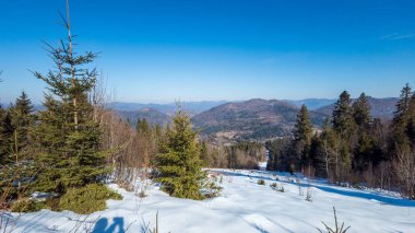 Güneşli bir günde, İspanya 'daki Osha Dağı' nın kış manzarası