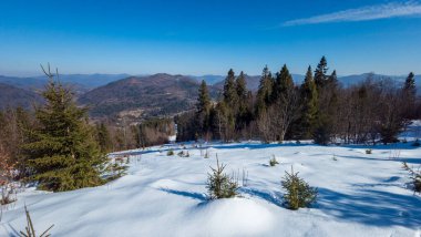 Karpat Dağları 'ndaki güzel kış manzarası, Ukrayna
