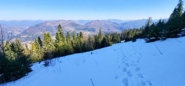 Karla kaplı ağaçlarla kaplı güzel kış manzarası