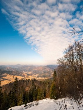 Ağaçlı güzel kış manzarası