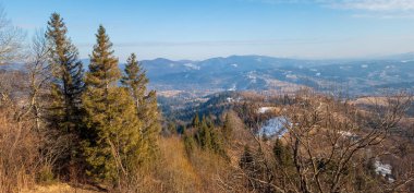 Ağaçlar ve yeşil otlarla dolu sonbahar manzarası